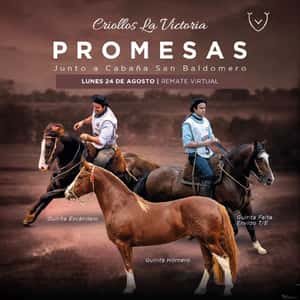 Cabaña La victoria