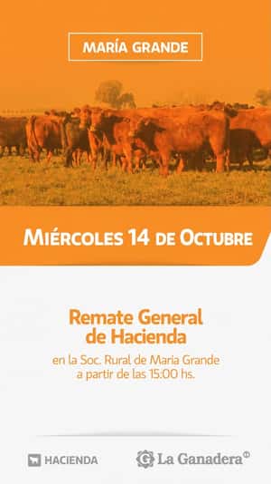 REMATE FERIA EN SOCIEDAD RURAL MARÍA GRANDE
