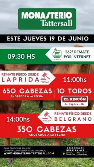 261° Remate por internet