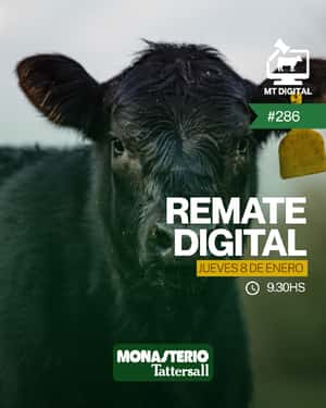 Remate digital 286°