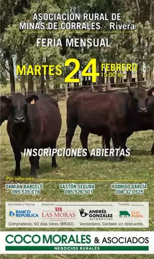 Imagen Feria Mensual