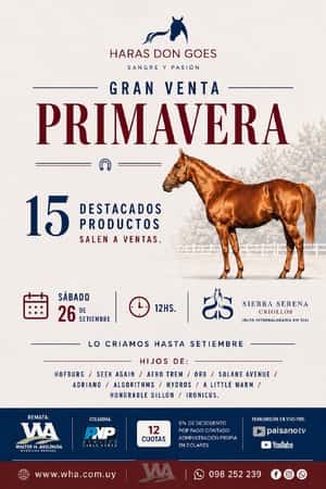 Gran Venta Primavera