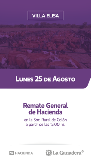 REMATE FERIA EN SOCIEDAD RURAL DE COLON