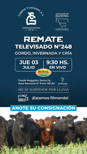 Remate Televisado N248