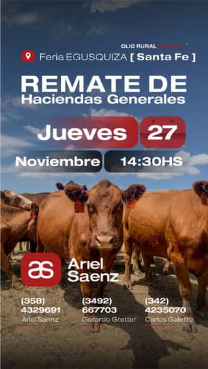 27 DE NOVIEMBRE - Egusquiza