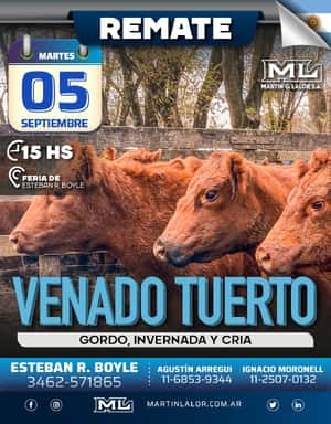 Venado Tuerto (Sept 23)