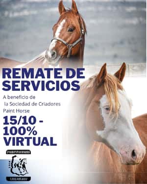 Remate de Servicios