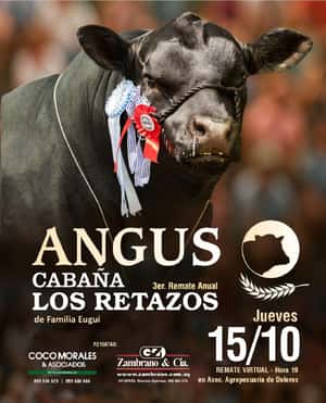 Imagen CABAÑA LOS RETAZOS