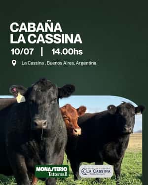 Remate Fisico Cabaña La Cassina