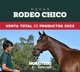 Remate por Internet Haras Rodeo Chico