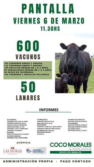 Imagen Remate Virtual