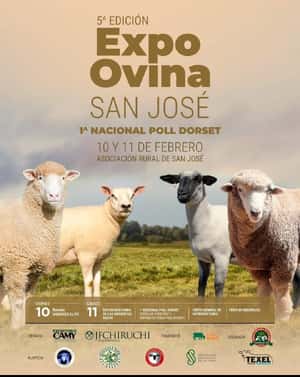 5º Edición EXPO OVINA
