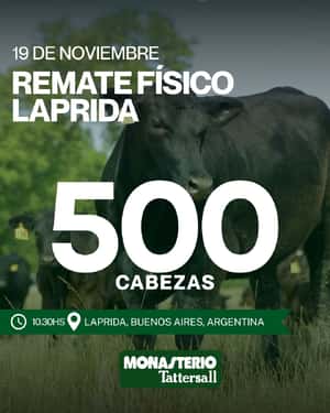 Remate Físico en Laprida