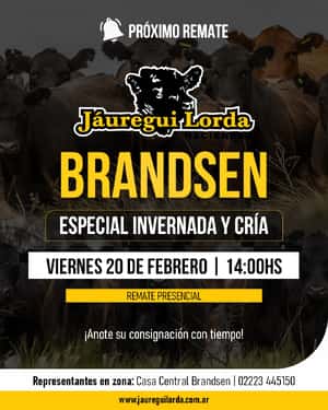 20 de Febrero - Brandsen