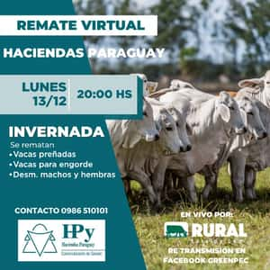 REMATE VIRTUAL 