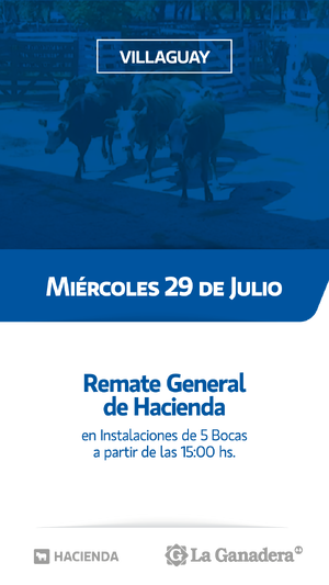  REMATE FERIA 5 BOCAS - PASO DE LA LAGUNA