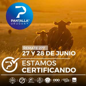 277º remate Pantalla Uruguay 