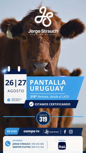 319º remate Pantalla Uruguay