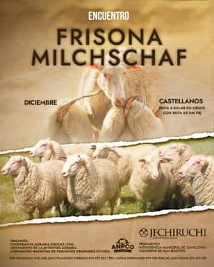 4to Encuentro Frisona Milchschaff