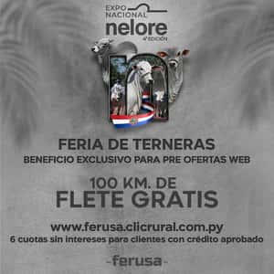 NACIONAL NELORE - FERIA DE TERNERAS