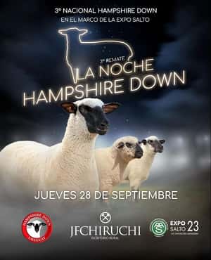 3º Nacional Hampshire Down - Expo Salto