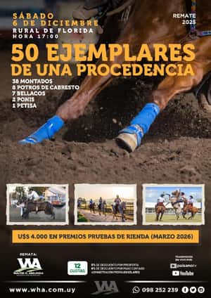 Remate de Deportivos