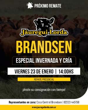 23 de Enero - Brandsen