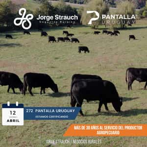 272º remate Pantalla Uruguay 