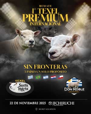 1º Texel Premium Internacional