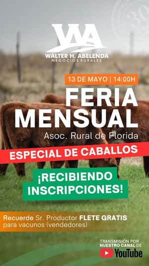 Feria Mensual