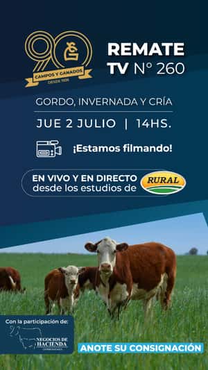 260°REMATE POR PANTALLA - 90° ANIVERSARIO