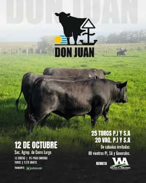 Cabaña Don Juan