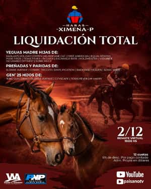 Liquidacion total - Haras Ximena - P