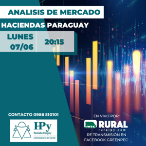 ANALISIS DE MERCADO