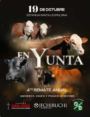 En Yunta