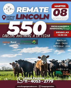 Remate en Lincoln, Martes 8 de Octubre 