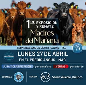 Madres del Mañana