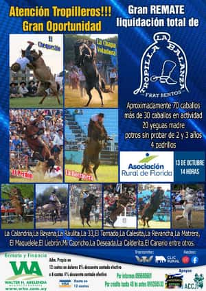 Gran Remate Liquidacion total de "Tropilla La Balanza"