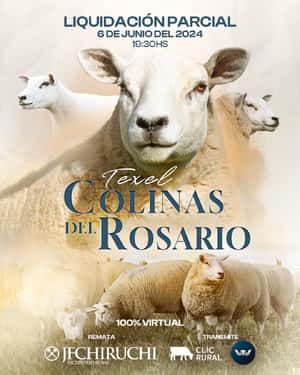 Colinas del Rosario