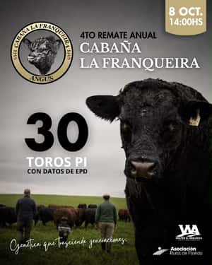 Cabaña La Franqueira