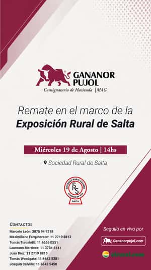 Remate en el marco de la Exposición Rural de Salta