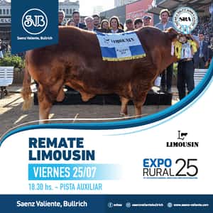 Limousin