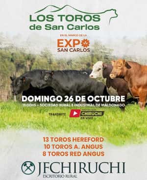 Expo San Carlos