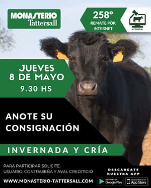 258º remate por internet