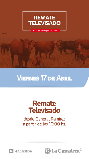 87° REMATE TELEVISADO