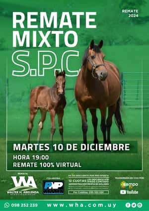 Remate Mixto S.P.C.