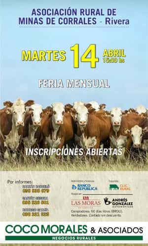 Imagen Feria Mensual - Coco Morales