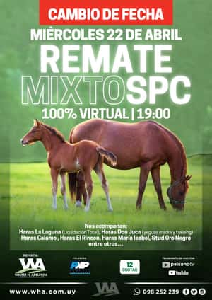 Remate Mixto SPC