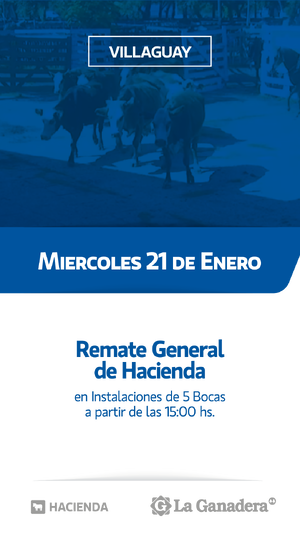 REMATE FERIA 5 BOCAS - PASO DE LA LAGUNA