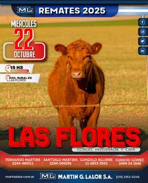 Las Flores (Oct 25´)